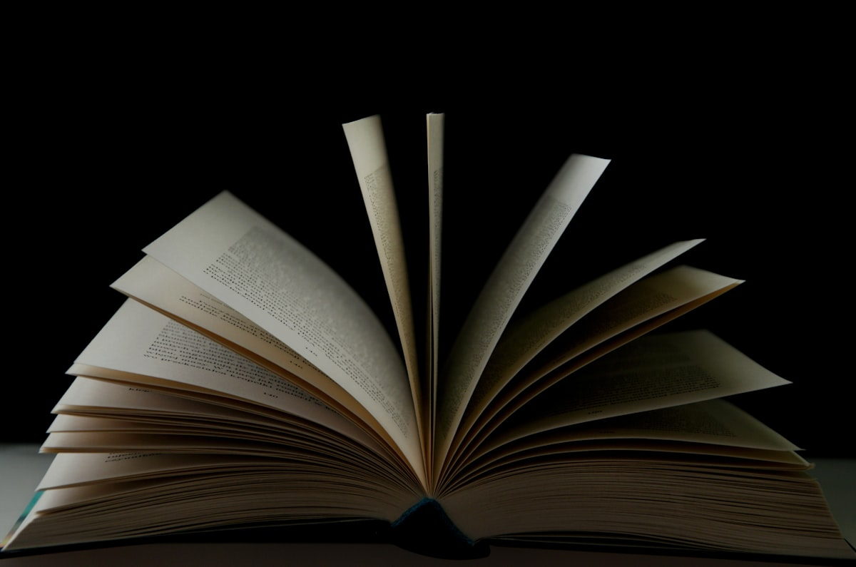 Stepping Up to the Plate (Flagship Book)
